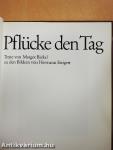 Pflücke den Tag