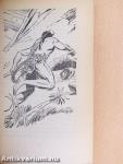 Tarzan a vadember