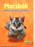 Macskák