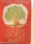 Öreg diófák alatt