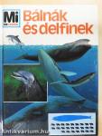Bálnák és delfinek