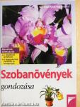 Szobanövények gondozása