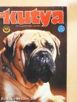 A Kutya 2002. március