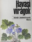 Havasi virágok