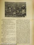Uj Idők 1931. (nem teljes évfolyam)