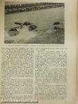 Uj Idők 1938. (nem teljes évfolyam)
