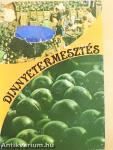Dinnyetermesztés