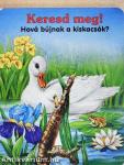 Hová bújnak a kiskacsák?