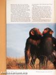 National Geographic December 1995