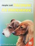 Tacskók és terrierek