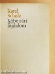 Kőbe zárt fájdalom