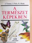 A természet képekben