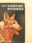 Kántor nyomoz