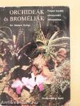 Orchideák és broméliák