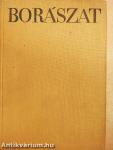 Borászat