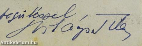 Együgyü program (dedikált példány)