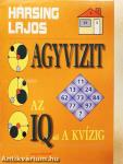 Agyvizit