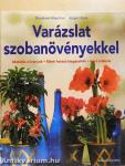 Varázslat szobanövényekkel
