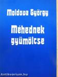 Méhednek gyümölcse