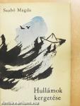 Hullámok kergetése