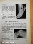 Az angiologia alapjai