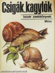 Csigák, kagylók