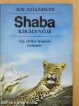 Shaba királynője