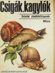 Csigák, kagylók