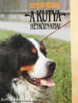 A kutya hétköznapjai