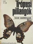 Trópusi pillangók