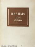 Johannes Brahms élete képekben