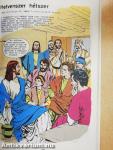 Új Testamentum - Képes Biblia