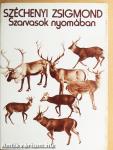 Szarvasok nyomában