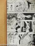 Naruto 15.