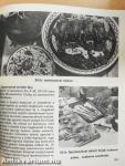 99 fürjrecept