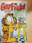 Garfield 2006/7. július