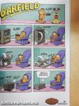 Garfield 2006/7. július