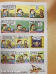 Garfield 2005/6. június