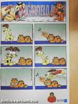 Garfield 2007/11. november