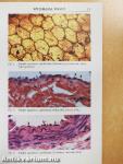 Histology