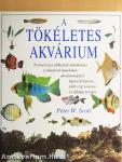 A tökéletes akvárium