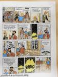Tim und Struppi - Der fall Bienlein