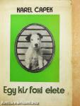 Egy kis foxi élete