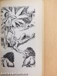 Tarzan a fenevadak élén