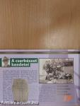 Mi fán terem... a cserkészet?