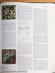 Britannica Hungarica Világenciklopédia 1-18. (nem teljes sorozat)