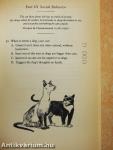 The Cat I.Q. Test
