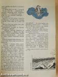 A Szórakoztató Biblia