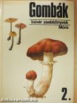 Gombák 2.