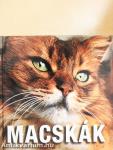 Macskák